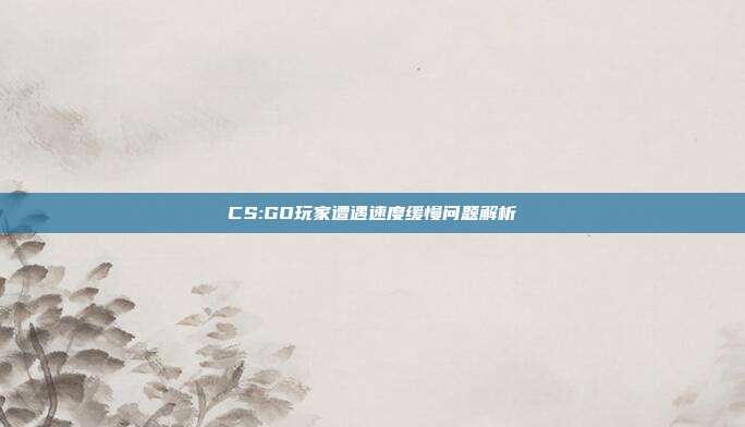 CS:GO玩家遭遇速度缓慢问题解析