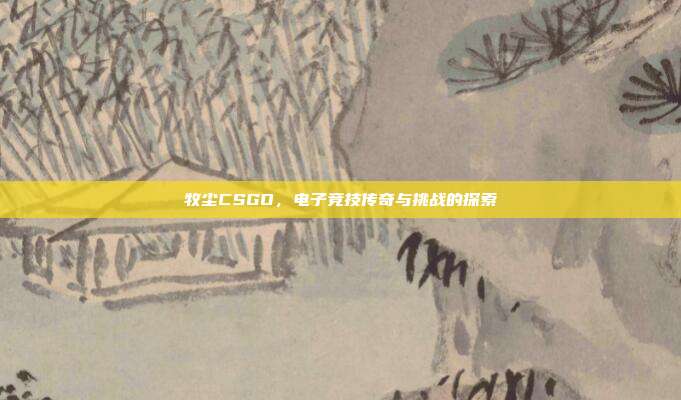 牧尘CSGO,电子竞技传奇与挑战的探索