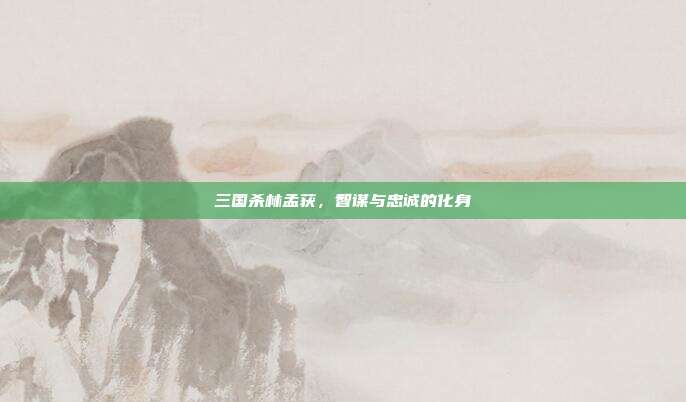 三国杀林孟获,智谋与忠诚的化身