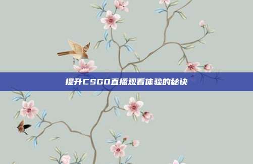 提升CSGO直播观看体验的秘诀