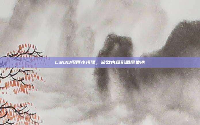 CSGO悍匪小视频,游戏内精彩瞬间集锦