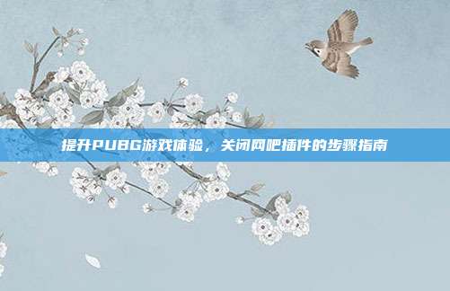 提升PUBG游戏体验,关闭网吧插件的步骤指南