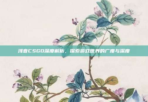 浅音CSGO深度解析,探索游戏世界的广度与深度