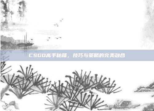 CSGO高手秘籍,技巧与策略的完美融合