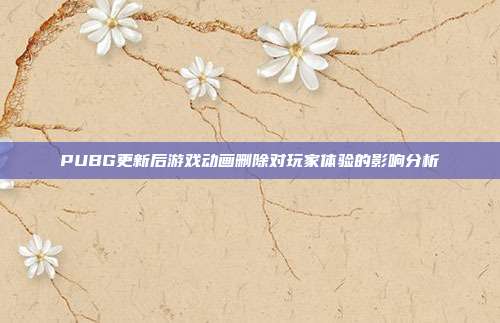 PUBG更新后游戏动画删除对玩家体验的影响分析