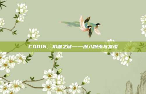 COD16,水濑之谜——深入探索与发现