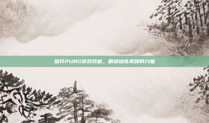 提升PUBG游戏技能,眼部训练视频的力量