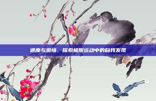 速度与激情,探索极限运动中的自我发现
