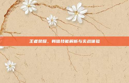 王者荣耀,韩信技能解析与实战体验
