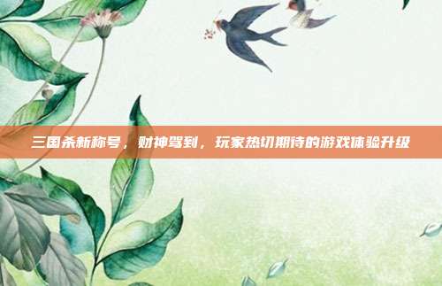 三国杀新称号,财神驾到,玩家热切期待的游戏体验升级