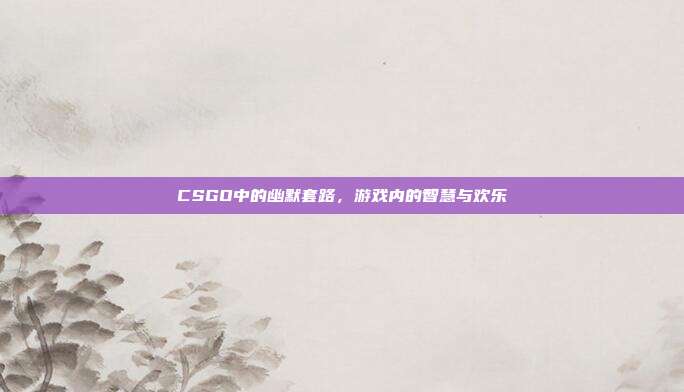 CSGO中的幽默套路,游戏内的智慧与欢乐