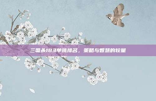 三国杀183单挑排名,策略与智慧的较量
