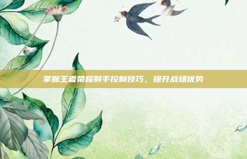 掌握王者荣耀射手控制技巧,提升战场优势