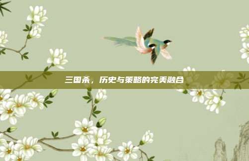 三国杀,历史与策略的完美融合