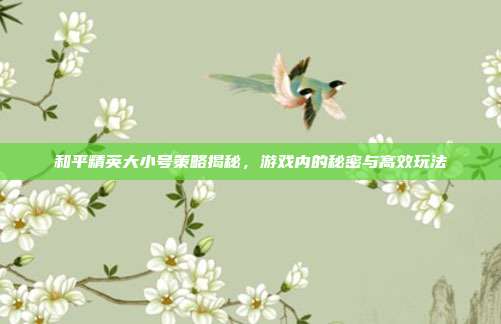 和平精英大小号策略揭秘,游戏内的秘密与高效玩法