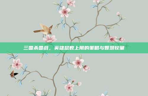 三国杀国战,英雄总数上限的策略与智慧较量