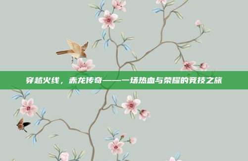 穿越火线,赤龙传奇——一场热血与荣耀的竞技之旅