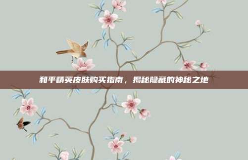 和平精英皮肤购买指南,揭秘隐藏的神秘之地