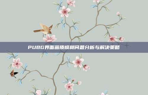 PUBG界面画质模糊问题分析与解决策略