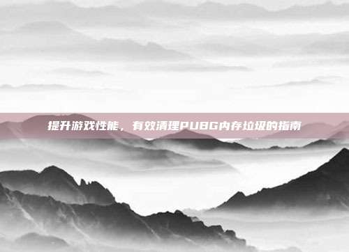 提升游戏性能,有效清理PUBG内存垃圾的指南