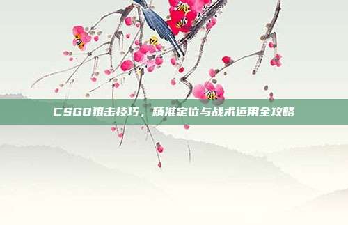 CSGO狙击技巧,精准定位与战术运用全攻略