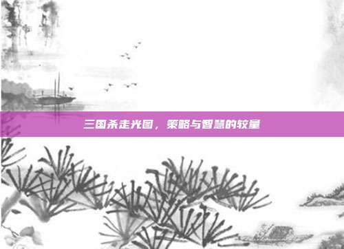 三国杀走光图,策略与智慧的较量