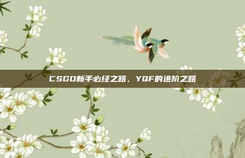 CSGO新手必经之路,YQF的进阶之路