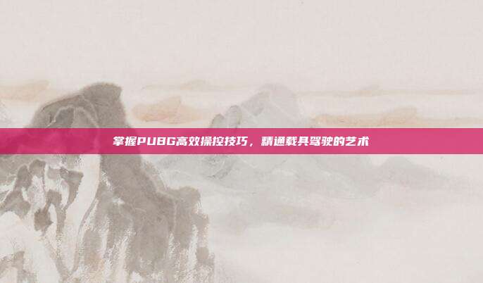 掌握PUBG高效操控技巧,精通载具驾驶的艺术
