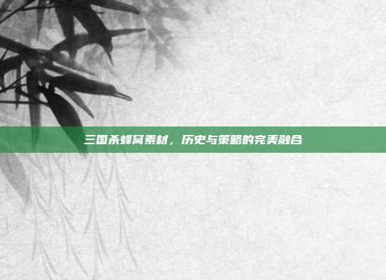 三国杀蜂窝素材,历史与策略的完美融合