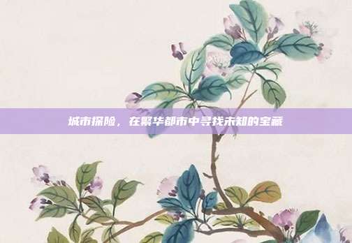 城市探险,在繁华都市中寻找未知的宝藏