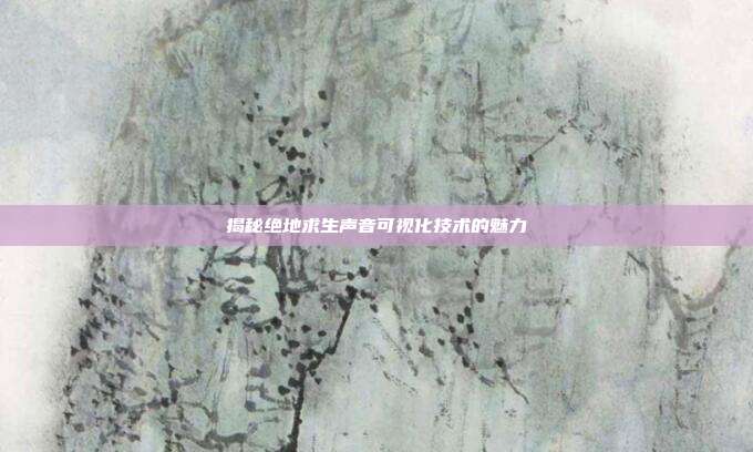 揭秘绝地求生声音可视化技术的魅力