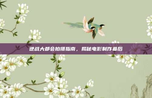 逆战大都会拍摄指南,揭秘电影制作幕后