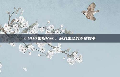 CSGO国服Vac,游戏生态的深刻变革