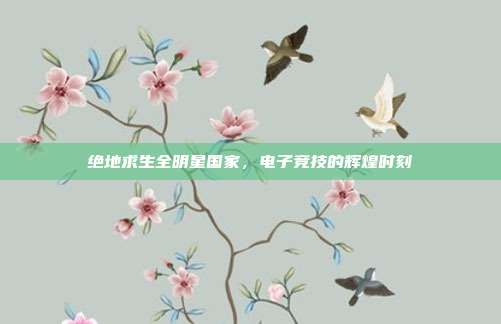 绝地求生全明星国家,电子竞技的辉煌时刻