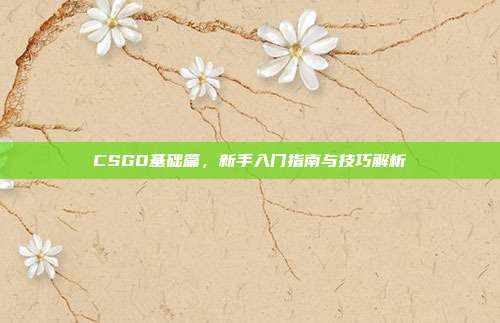 CSGO基础篇,新手入门指南与技巧解析