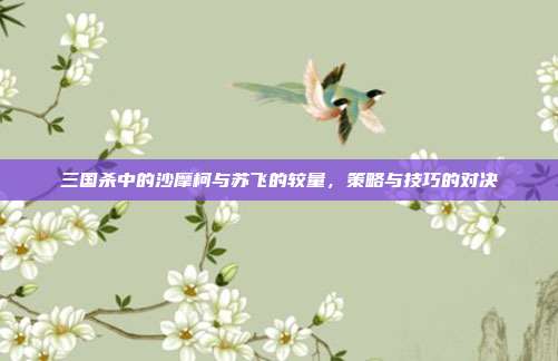 三国杀中的沙摩柯与苏飞的较量,策略与技巧的对决