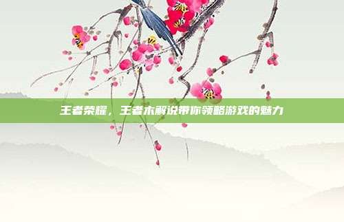 王者荣耀,王者木解说带你领略游戏的魅力
