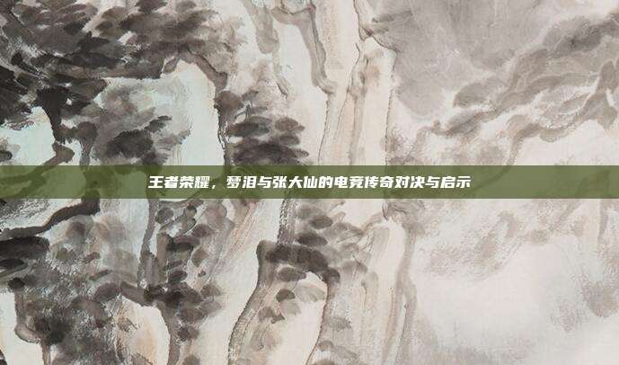 王者荣耀,梦泪与张大仙的电竞传奇对决与启示