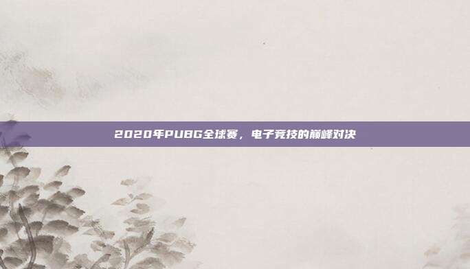 2020年PUBG全球赛,电子竞技的巅峰对决