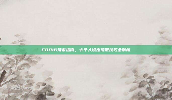COD16玩家指南,卡个人设定读取技巧全解析