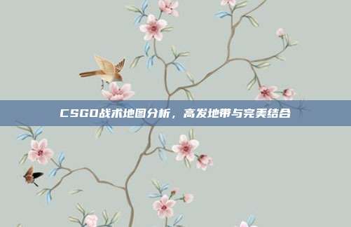 CSGO战术地图分析,高发地带与完美结合