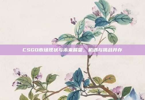 CSGO市场现状与未来展望,机遇与挑战并存