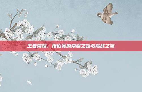 王者荣耀,排位赛的荣耀之路与挑战之旅