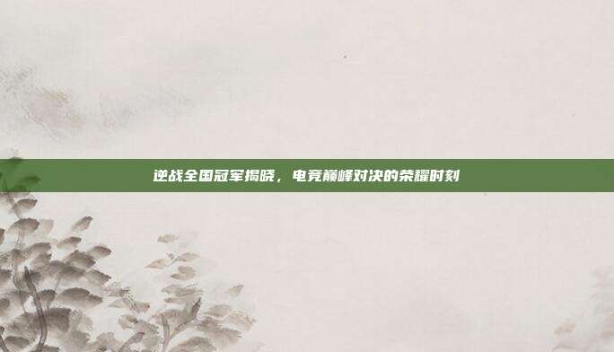 逆战全国冠军揭晓,电竞巅峰对决的荣耀时刻
