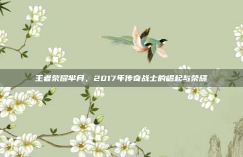 王者荣耀芈月,2017年传奇战士的崛起与荣耀