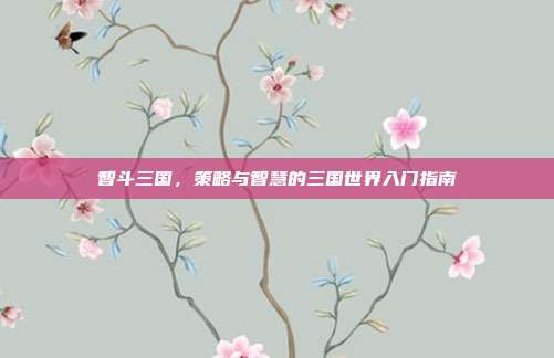 智斗三国,策略与智慧的三国世界入门指南