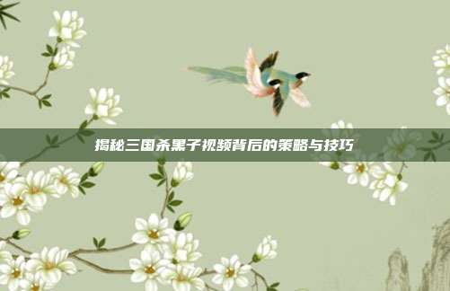 揭秘三国杀黑子视频背后的策略与技巧