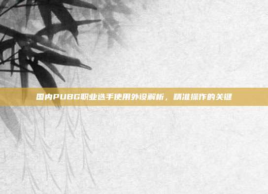 国内PUBG职业选手使用外设解析,精准操作的关键