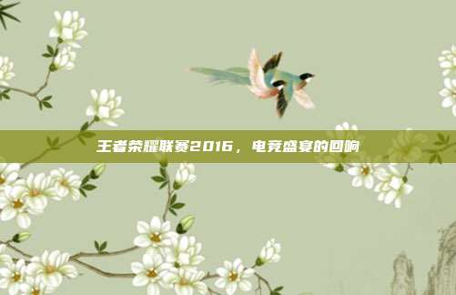 王者荣耀联赛2016,电竞盛宴的回响
