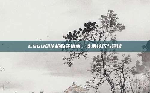 CSGO印花枪购买指南,实用技巧与建议